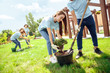 © Viktoriia - Volunteering. Young people volunteers outdoors planting trees boy helping girl digging plant from pot working concentrated