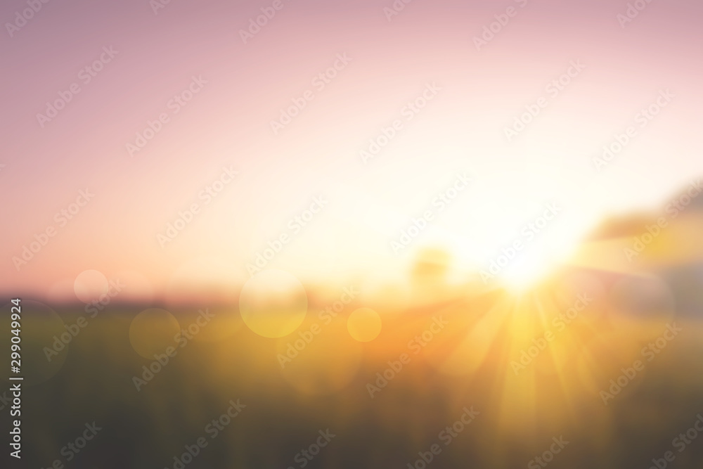 Sweet meadows at sunset blurry background - obrazy, fototapety, plakaty 