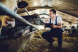 Leinwandbild Motiv Handsome caucasian farmer in overall crouching next to calf, using tablet and smiling. Stable interior.