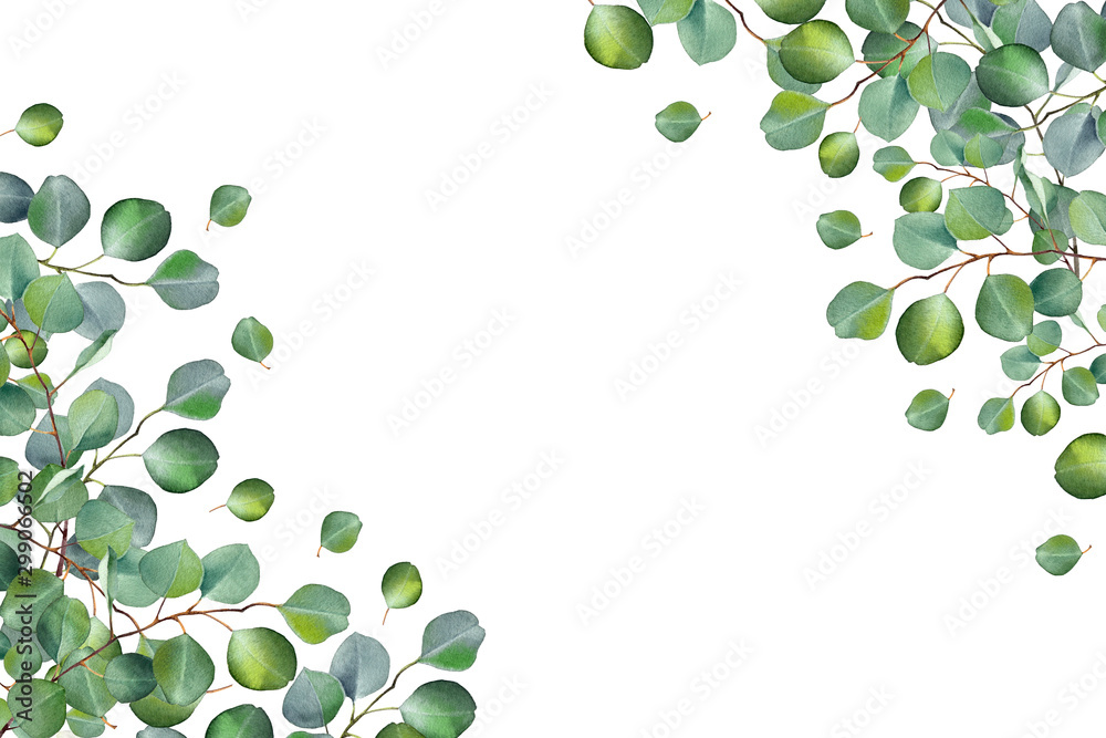 Watercolor floral illustration with eucalyptus green leaves and branch ...