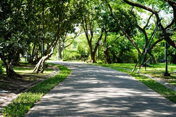 Poster - path in the park