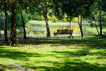 Sticker - bench in the park