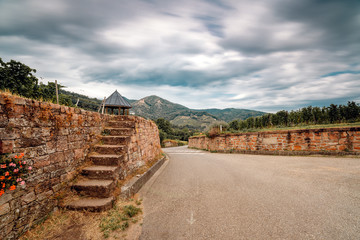 Wall Mural - walk through the French vineyards of Alsace