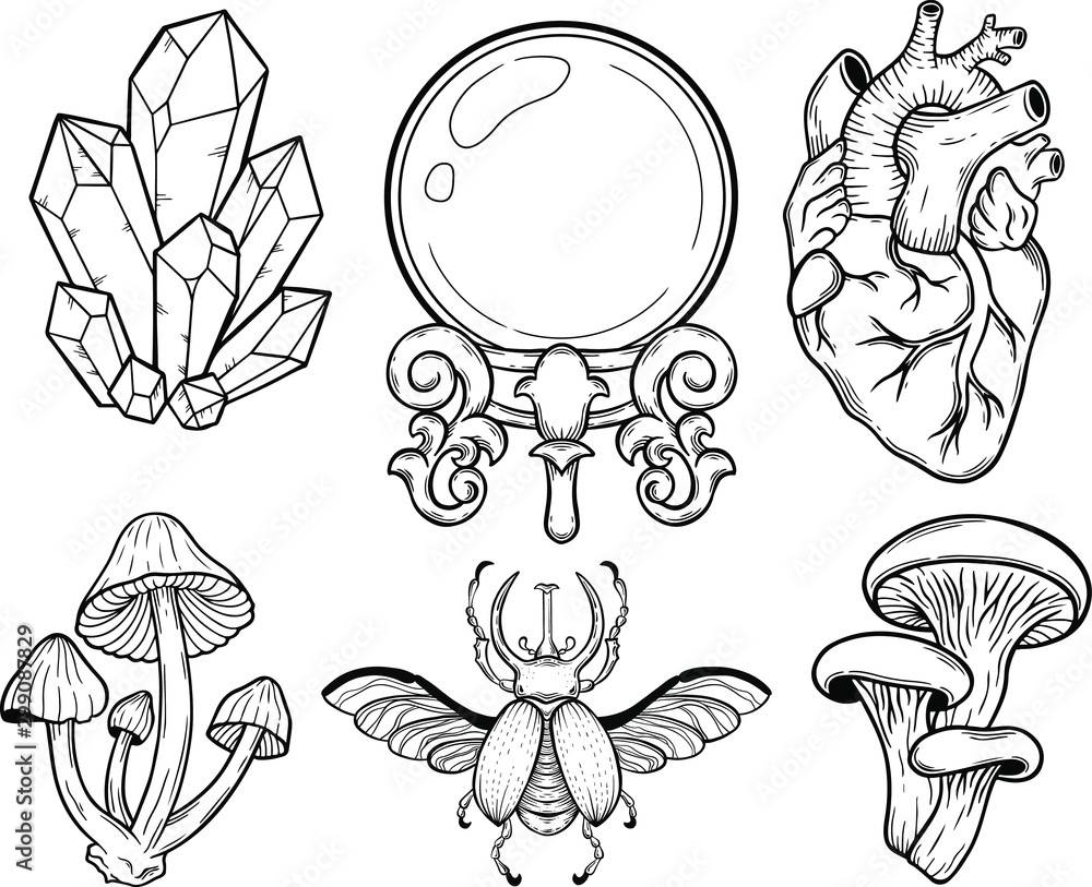 Crystal Mushroom Bug Heart Crystal Ball Vector Hand Drawn Illustration Tattoo Sketch Style Isolated On White Wall Mural Irina Kolesnichenko