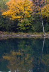 Wall Mural - Reflection of colorful forest in lake surface in the overcast day. Killarney Provincial park..