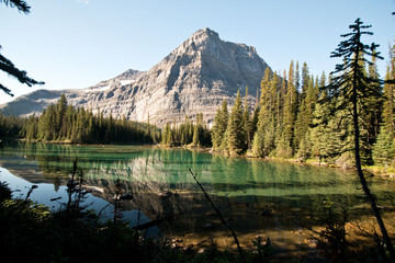  Linda lake in Yoho national park, BC, Canada