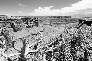 Canyonlands National Park. Black and white vintage style. 