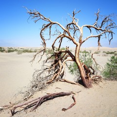 Sticker - Death Valley. Beautiful American landscape.