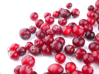 cranberries on a white background