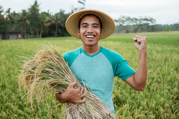 happy excited rice farmer during harvest season outdoor