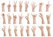 Set of various gestures and sign of Woman's hand isolated on white background.