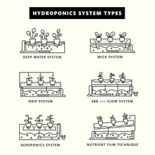 Hydroponics System Types. Icon Set In Outline Style. Vector Illustration