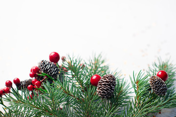 Wall Mural - christmas composition flatlay. spruce branches, red berries on white background with space for text