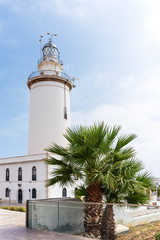 Sticker - Leuchtturm und Palme Im Hafen von Malaga 