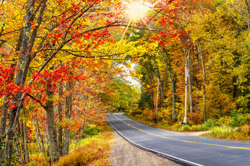 Wall Mural - beautiful autumn road winding through splendid fall foliage in new england. sun rays peeking through