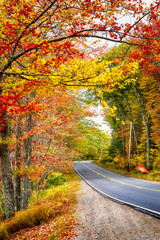 Wall Mural - beautiful autumn road winding through splendid fall foliage in new england