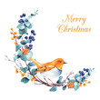 Robin bird sitting on a twig of eucalyptus and berries. Isolated watercolor christmas card illustration.