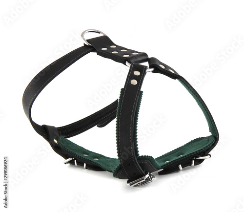 Black dog harness isolated on white background Tableau sur Toile