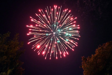 fireworks pyrotechnics
