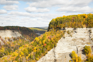 Wall Mural - autumn landscape view of Let Haworth state park from Archery Point  with yellow leaves and blue sky