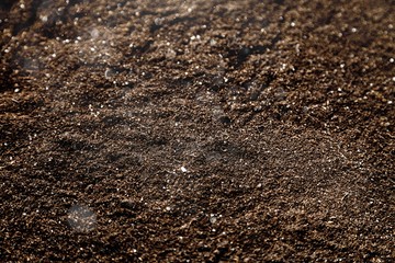 Canvas Print - Dirt.