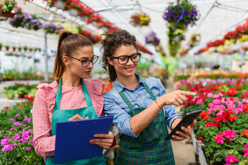 Portrait of two beautiful young women entrepreneurs in flower greenhouse