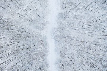 Poster - Aerial view of  Winter forest and the road. Winter landscape