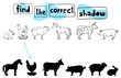 Find the correct shadow - farm animals
