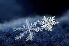 Macro Photo Of Beautiful Snowflakes