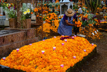 La Dama Está Decorando La Tumba Con Flores De Cempasúchil El Día De Los Muertos En Michoacán, México.