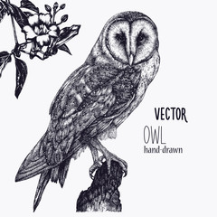vector hand drawn ink pen illustration. barn owl sitting on a tree stump. flower decoration in the c