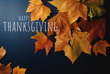Happy Thanksgiving Day With Maple Leave And Text
