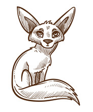 African Wild Animal, Fennec Fox Isolated Sketch