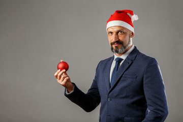 Wall Mural - A bearded man in a blue jacket and a New Year's hat on a gray background holding a red Christmas ball for spruce. Concept of young santa claus.