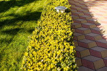 Nested Pavers Of Various Colors, Around The Grass Is Green, Chic Garden