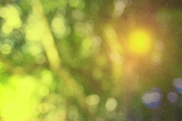 Wall Mural - natural bokeh blurred with galaxy background