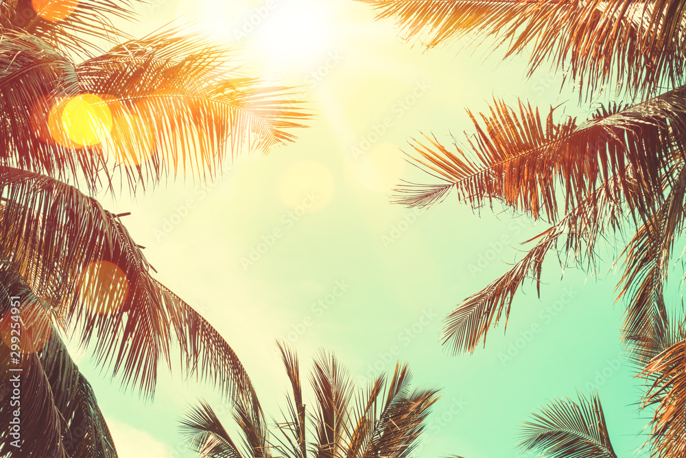 Tropical palm tree with colorful bokeh sun light on sunset sky cloud abstract background. - obrazy, fototapety, plakaty 