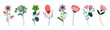 set of differents flowers decoration on white background