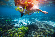 Girl Snorkeling In The Tropical Sea Over The Vivid Coral Reef