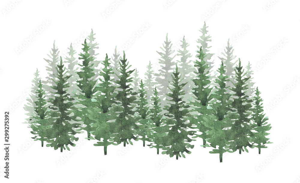 Hand drawn watercolor coniferous forest illustration, spruce. Winter nature, holiday background, conifer, snow, outdoor, snowy rural landscape.Mysterious fir or pine trees  for winter Christmas design - obrazy, fototapety, plakaty 