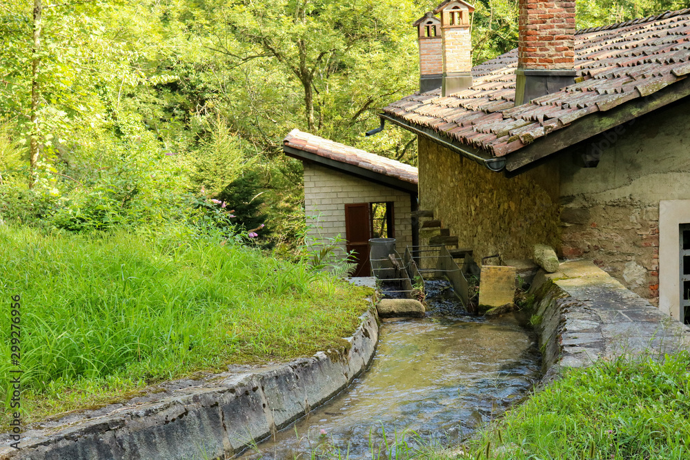 Ruscello Ruscello nel bosco sul sentiero delle meraviglie che porta al mulino ...