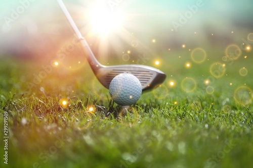 Obrazy golf  golf