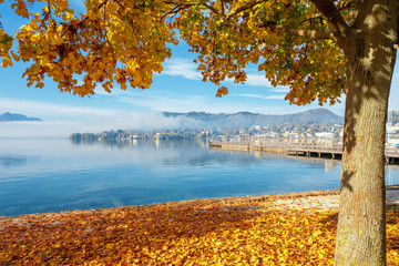 Scenic view of the Traunsee in Gmunden, OÖ, Austria, on a beautiful day in autumn with an orange colored tree in the foreground