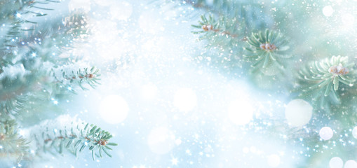 Wall Mural - christmas fir tree branches on blurred blue background. christmas and winter concept..