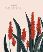 Botanical Orange Aloe Vera Succlent Flowers Drawing, Summer Wedding Invitation Card Template Design, Greenery Leaves On Pink Background, Vintage Style