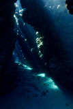 Fototapeta Do akwarium - Caves at the Red Sea, Egypt