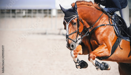 Fotografía A sorrel beautiful horse with a rider in the saddle jumps high at a show jumping competition on a Sunny day