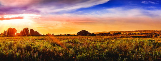 Wall Mural - bright sunlight through the clouds against a breathtaking evening sky at sunset. panorama, natural c