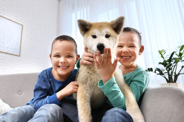 Wall Mural - Happy boys with Akita Inu dog on sofa in living room. Little friends