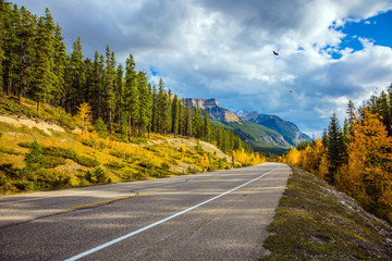 Wall Mural - Excellent highway